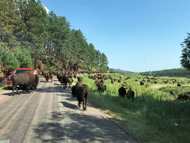 Foto del tour